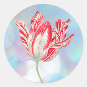 Vintage Red Tulip Stickers