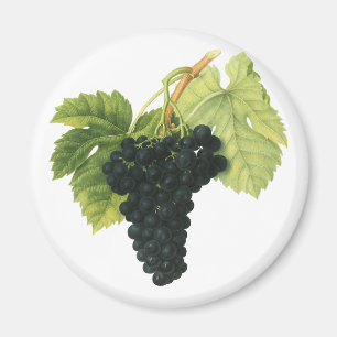 Vintage Red Wine Organic Grape Cluster, Food Fruit Magnet