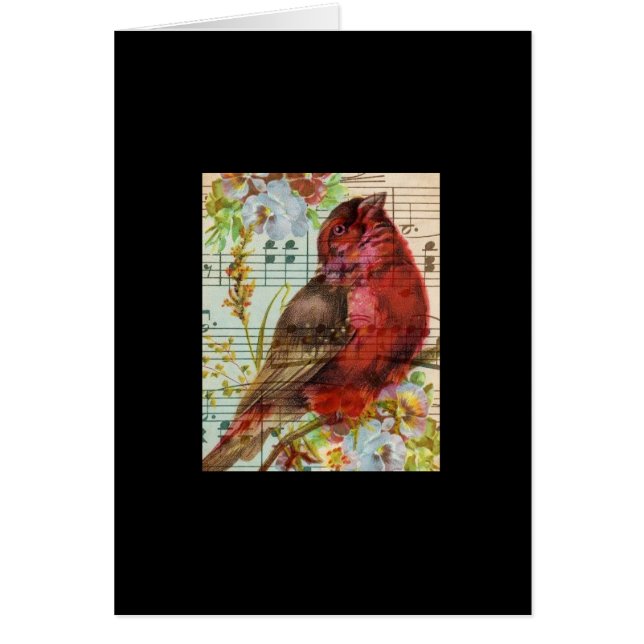 Vintage Redbird Collage (Front)