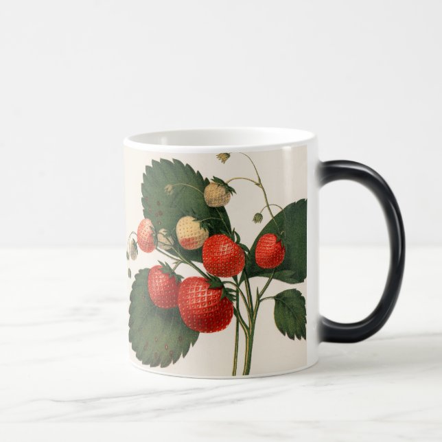 Vintage RedBoston Pine Strawberry Magic Mug (Right)