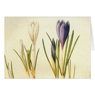 Vintage Redoute Crocus Greeting Card