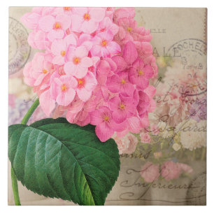 Vintage Redoute Pink Hydrangea Ceramic Tile