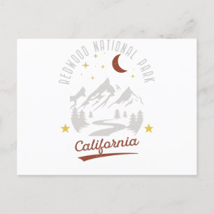 Vintage Redwood National Park California Postcard