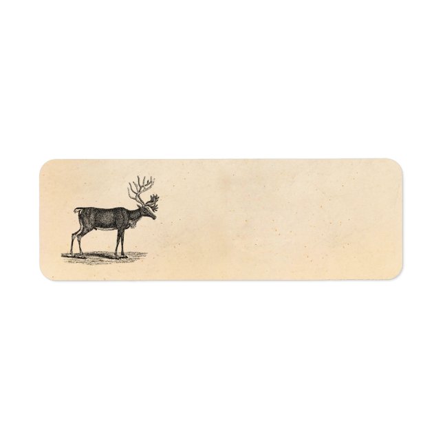 Vintage Reindeer Illustration - 1800's Christmas (Front)