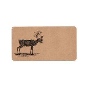 Vintage Reindeer Illustration - 1800's Christmas Label