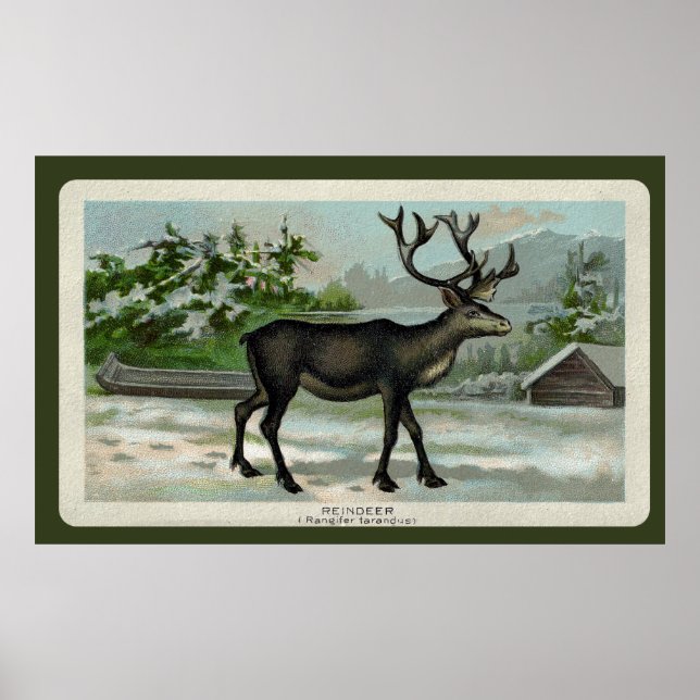 Vintage Reindeer Print (Front)