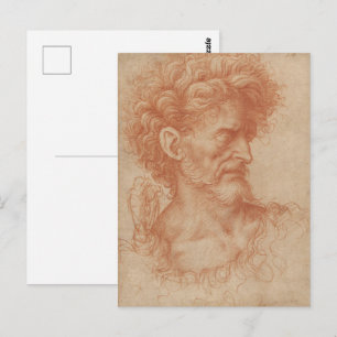 Vintage Renaissance Baroque Red Chalk Portrait Postcard