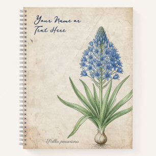 Vintage Renaissance Peruvian Squill Notebook