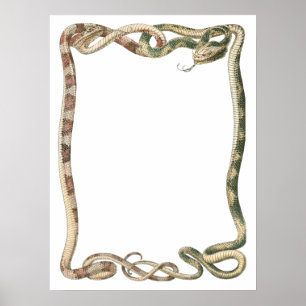 Vintage Reptiles, Entwined Snakes or Vipers Border Poster
