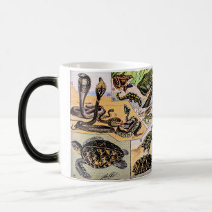 Vintage Reptiles Illustration by Adolphe Millot  Magic Mug