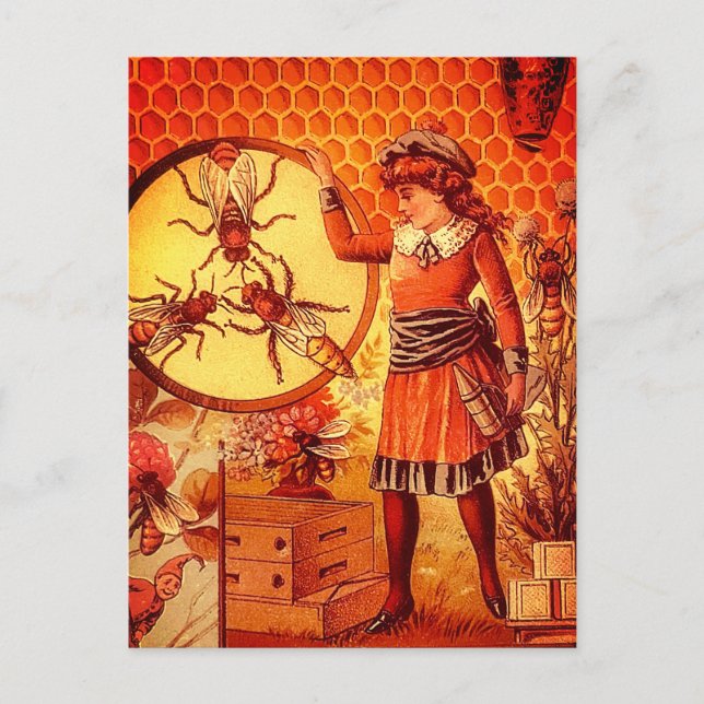 Vintage Retro Beekeeper Girl Bees Image Postcard (Front)