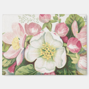 Vintage Retro Christmas Card, Apple Blossoms Magnet