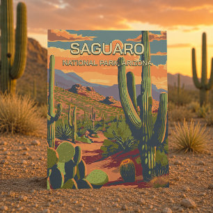 Vintage Retro Saguaro National Park Arizona USA Postcard