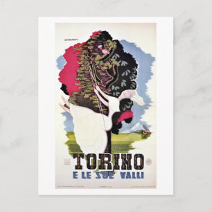 Vintage retro Turin valleys Italian travel Postcard