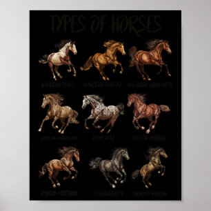Vintage Retro Types Of Horses Horse Breed Horsebac Poster