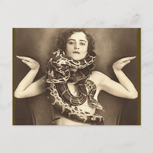 Vintage Retro Women Sideshow Snake Charmer Postcard (Front)