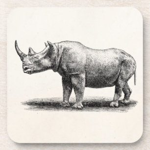 Vintage Rhinoceros Illustration Rhino Rhinos Coaster