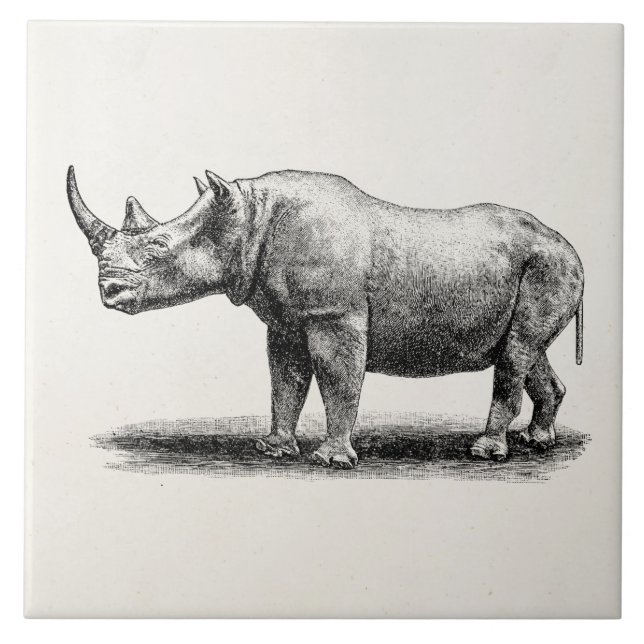 Vintage Rhinoceros Illustration Rhino Rhinos Tile (Front)