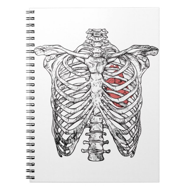 Vintage Ribcage & Heart Anatomy Halloween Notebook (Front)