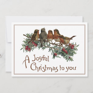 Vintage Robin Bird Christmas Evergreen Joyful Holiday Card