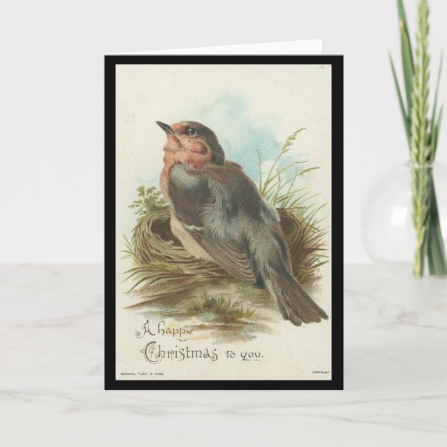 Vintage Robin, Christmas Holiday Card (Front)