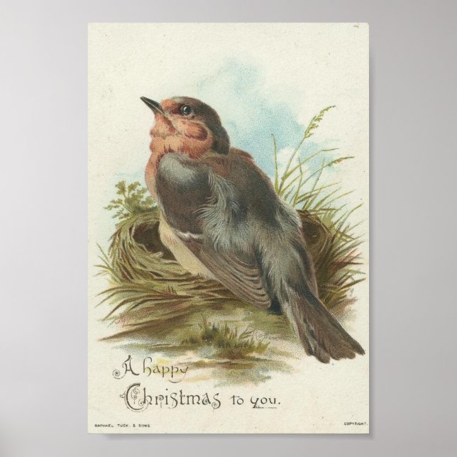 Vintage Robin, Christmas Poster (Front)