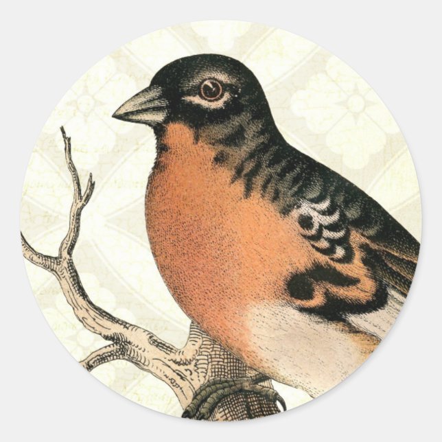 Vintage Robin Classic Round Sticker (Front)