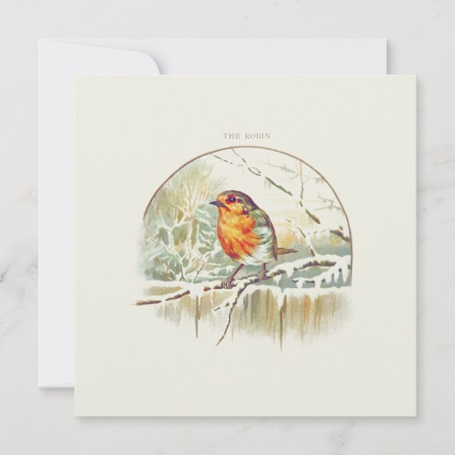 VINTAGE ROBIN "MERRY CHRISTMAS" GREETING CARD (Front)
