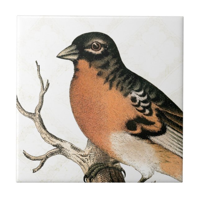 Vintage Robin Tile (Front)
