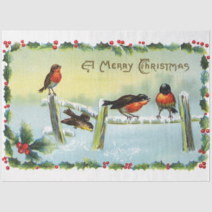 Vintage Robins Merry Christmas Tissue Paper