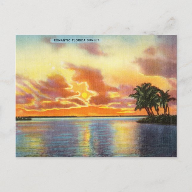 Vintage Romantic Florida Sunset Travel Postcard (Front)