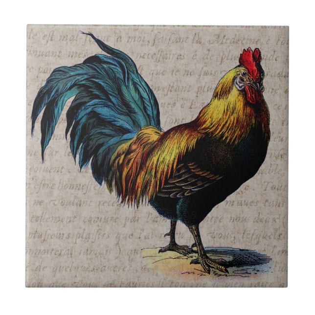 Vintage Rooster and Antique Text Collage - Custom Tile (Front)
