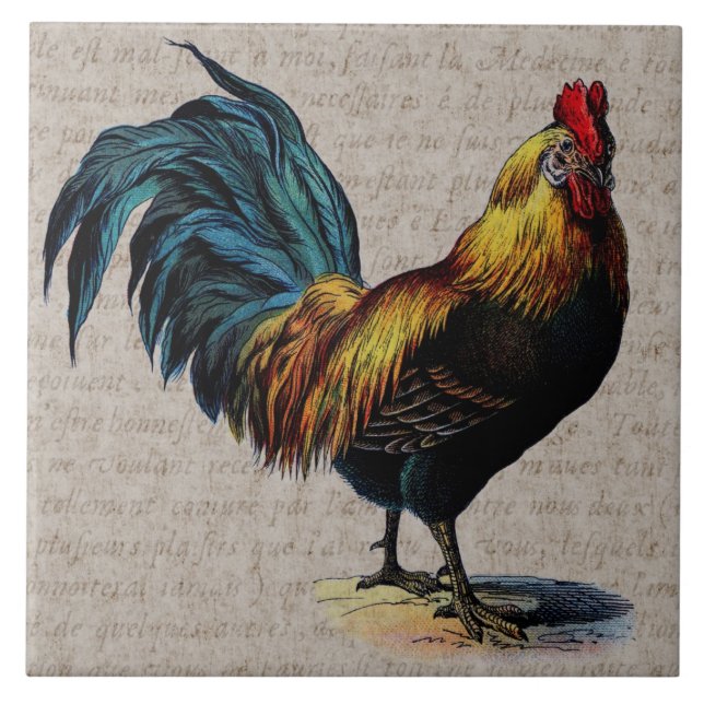 Vintage Rooster and Antique Text Collage - Custom Tile (Front)