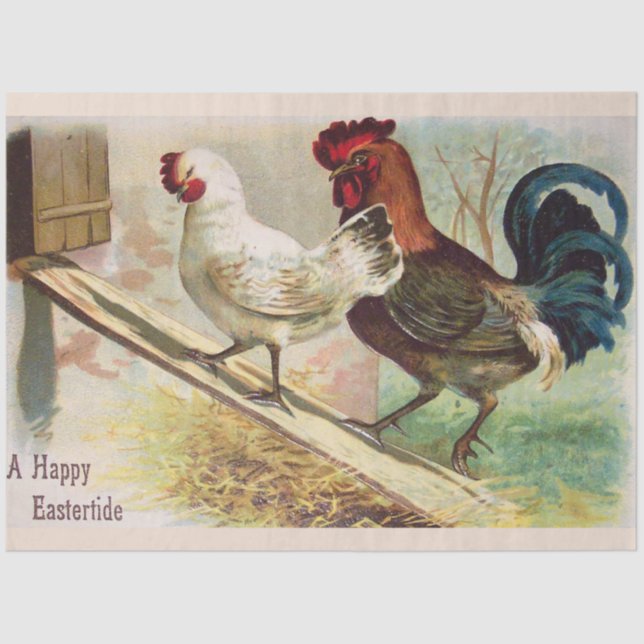 Vintage Rooster And Chicken Easter Holiday Tissue Paper (Front)