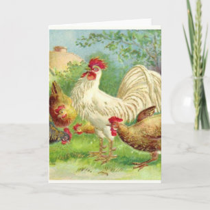 Vintage Rooster and Chickens Holiday Card