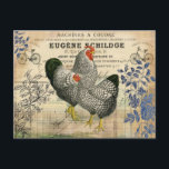 Vintage Rooster and Hen Ephemera  Postcard<br><div class="desc">Vintage design utilising rooster and hen,  receipt,  and leafy plants in a decoupage collage.</div>