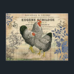 Vintage Rooster and Hen Ephemera  Postcard<br><div class="desc">Vintage design utilising rooster and hen,  receipt,  and leafy plants in a decoupage collage.</div>