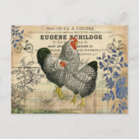 Vintage Rooster and Hen Ephemera