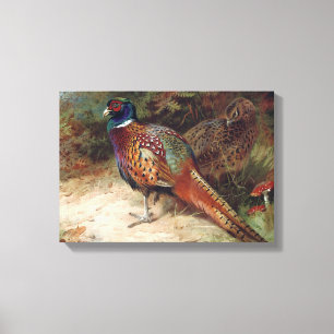 Vintage Rooster and Hen Pheasant Canvas Print