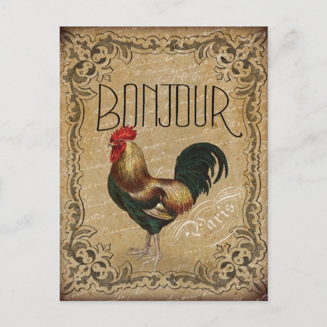 Vintage Rooster Bonjour Paris Postcard (Front)