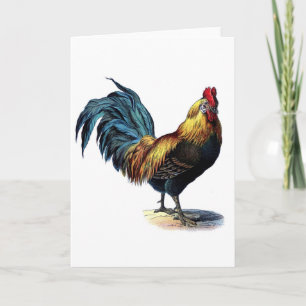 Vintage Rooster Card