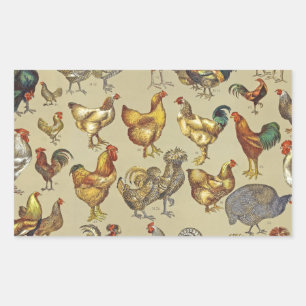 Vintage Rooster Chicken Pattern: Farmhouse Art Rectangular Sticker
