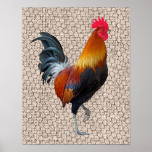Vintage Rooster Design Poster