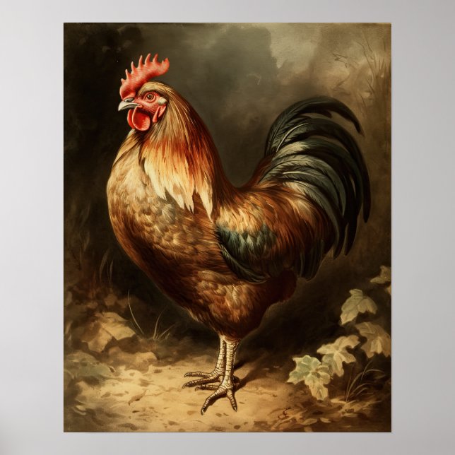 Vintage Rooster Farmhouse Art Print (Front)