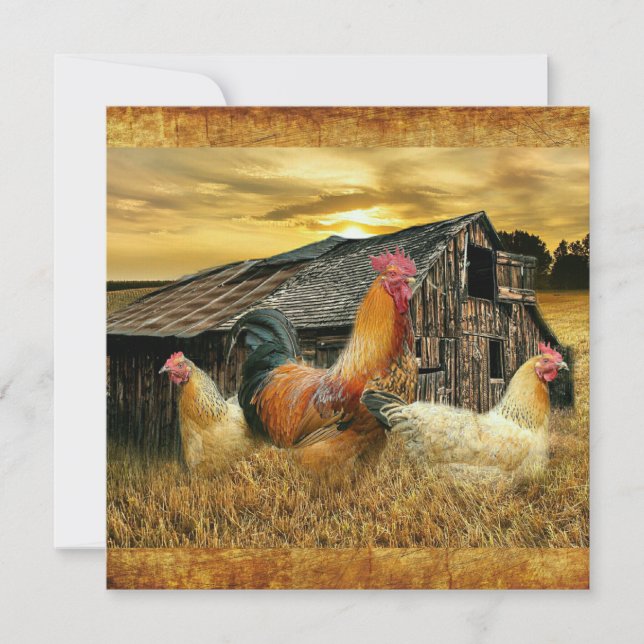 Vintage Rooster Hens Rustic Barn Coop Card (Front)