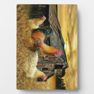 Vintage Rooster Hens Rustic Barn Coop Plaque