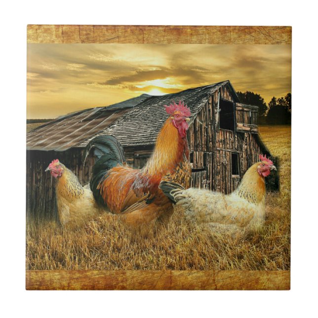 Vintage Rooster Hens Rustic Barn Coop Tile (Front)
