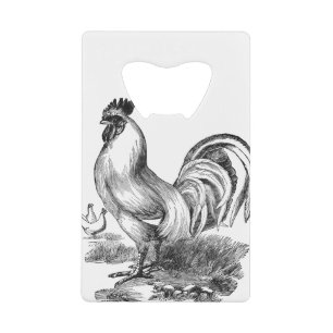 Vintage rooster illustration