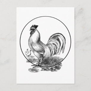 Vintage rooster illustration card