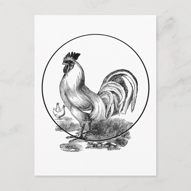 Vintage rooster illustration card (Front)